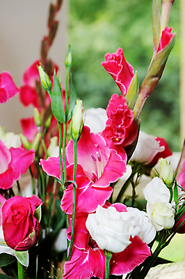 포토 JPG 해외이미지 전통 꽃 꽃다발 결혼 꽃무늬 결혼식 사랑 이벤트 사람없음 장식 빨간색 컬러풀 활발 흰색 축하 우아함 다발 배열 묘사 기회 설정 해외202004 해외포토 식물 감정 컬러 컨셉 무늬 파일형식 이미지허브