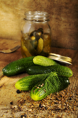 포토 JPG 해외이미지 음식 채소 유리 오이 사람없음 초록색 주방 시골 향신료 딜 오이피클 채식주의자 해외202004 해외포토 컬러 재질 채식 피클 향미료 파일형식 이미지허브