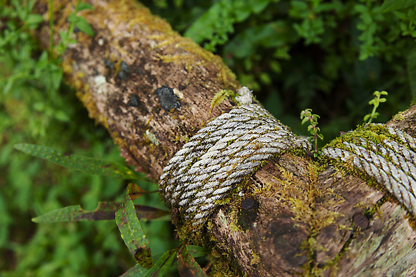 포토 JPG 해외이미지 밧줄 여행 백그라운드 표면 사람없음 목재 장식 갈색 어둠 장비 거친 널 갑판 질감 복고 보안 매듭 내추럴 수목 옛날 해외202004 해외포토 나무 줄 컬러 배_교통 재료 안전 파일형식 이미지허브