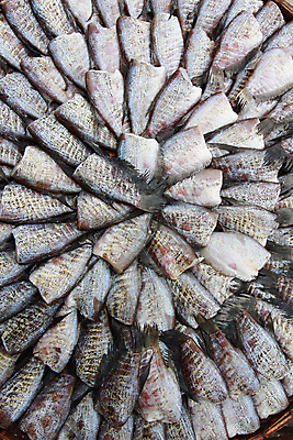 포토 JPG 해외이미지 아시아 음식 태국 건조 어류 사람없음 태양 그룹 시장 해산물 질감 해외202004 해외포토 자연요소 나라 수중동물 파일형식 이미지허브