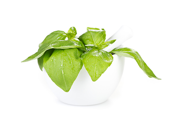 포토 JPG 해외이미지 식물 음식 백그라운드 잎 농업 다이어트 재료 자연 파스타 건강 요리 사람없음 가로 초록색 주방 정원 이탈리아 샐러드 성장 흰색 공구 신선 양념 닫기 달콤 맛 냄비 다발 지중해 허브 향신료 유기농 날것 아로마 향 바질 내추럴 고립 해외202004 해외포토 웰빙 유럽 산업 바다 컬러 컨셉 모션 서양음식 도구 솥 생태계 향미료 파일형식 이미지허브