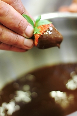 포토 JPG 해외이미지 계절 열매 음식 과일 딸기 디저트 사람없음 주방 저녁식사 달콤 카나페 준비 만들기 베리 충동구매 점심식사 특별함 해외202004 해외포토 식물 컨셉 모션 서양음식 쇼핑 식사 맛 과소비 파일형식 이미지허브