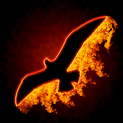 포토 JPG 해외이미지 모양 디자인 실루엣 백그라운드 컨셉 패턴 일러스트 조류 불 추상 미술 사람없음 장식 빨간색 빛 검은색 뜨거움 심볼 비둘기 화재 연소 광 해외202004 해외포토 자연요소 동물 컬러 무늬 문화예술 촬영기법 사건 파일형식 이미지허브