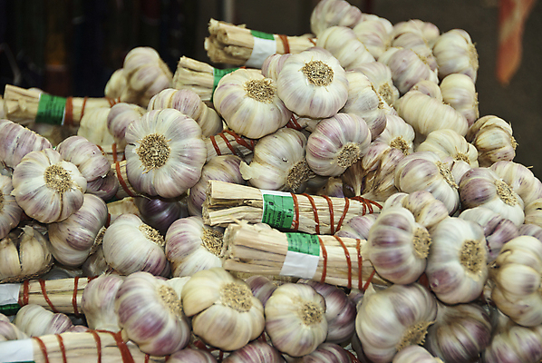 포토 JPG 해외이미지 음식 채소 전구 마늘 사람없음 프랑스 흰색 시장 다발 묶기 허브 해외202004 해외포토 식물 유럽 컬러 모션 파일형식 이미지허브