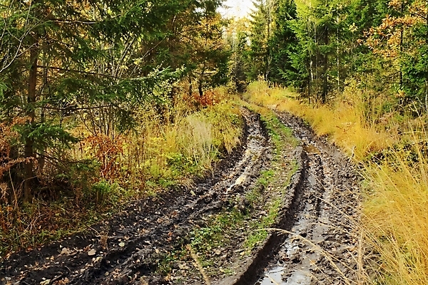 포토 JPG 해외이미지 나무 하늘 사람없음 물 갈색 노란색 추위 가을 숲 자취 해외202004 해외포토 자연요소 식물 계절 컬러 파일형식 이미지허브