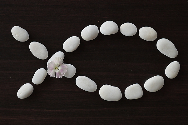 포토 JPG 해외이미지 꽃 기독교 종교 어류 사람없음 심볼 해외202004 해외포토 식물 수중동물 파일형식 이미지허브