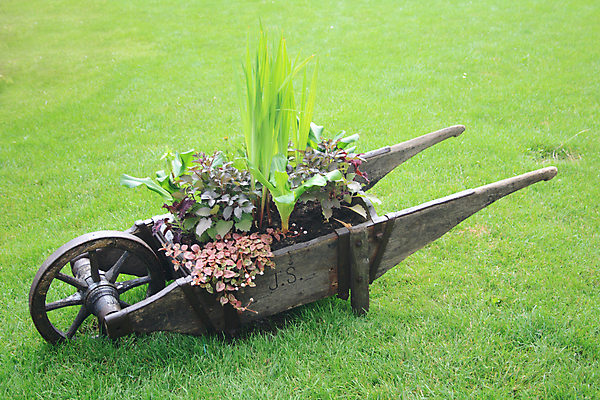 포토 JPG 해외이미지 식물 공원 꽃 사람없음 야외 목재 초록색 빛 농장 금속 정원 카트 수레 장비 바퀴 냄비 쓰레기 양동이 원예 해외202004 해외포토 나무 공공시설 컬러 농업 재료 재질 취미 솥 파일형식 이미지허브