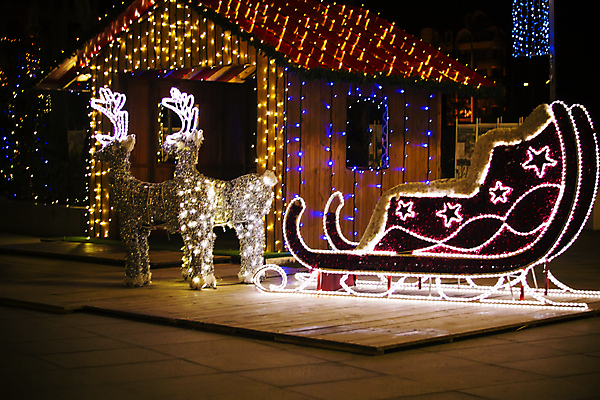 포토 JPG 해외이미지 나무 계절 백그라운드 크리스마스 겨울 전구 휴가 사슴 전등 조명 새로움 거리 주택 사람없음 야외 장식 빨간색 파란색 컬러풀 산타클로스 노란색 검은색 화환 어둠 추위 흰색 램프 축하 도시 야간 12월 연도 문학 철사 광 설치 순록 점화 해외202004 해외포토 자연요소 식물 기념일 꽃 컬러 컨셉 포유류 건물 날짜 파일형식 이미지허브