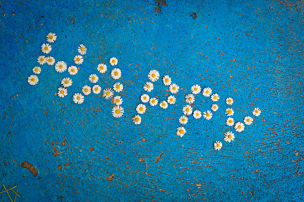 포토 JPG 해외이미지 캐릭터 알파벳 꽃 행복 감정 백그라운드 컨셉 텍스트 추상 타이포그라피 사람없음 여름 파란색 단어 세트 노란색 봄 흰색 편지 심볼 데이지 타입 엘리먼트 해외202004 해외포토 식물 문자 영어 계절 컬러 무늬 파일형식 이미지허브