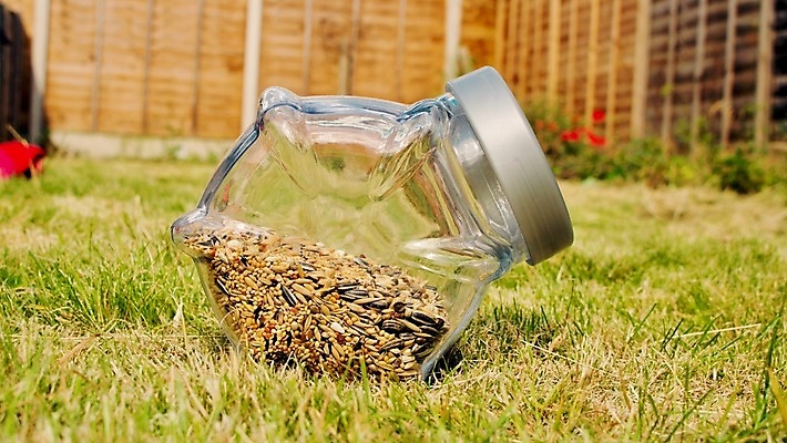 포토 JPG 해외이미지 음식 자연 유리 해바라기 요리 씨앗 사람없음 야외 항아리 내추럴 해외202004 해외포토 식물 꽃 재질 도자기 생태계 파일형식 이미지허브