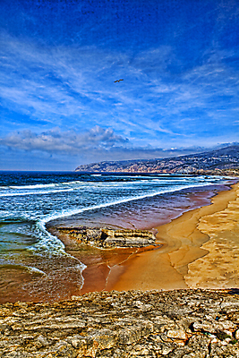 포토 JPG 해외이미지 나무 계절 파도 바다 분홍색 여행 백그라운드 자연 벽지 하늘 날씨 추상 휴가 휴식 풍경 사람없음 물 여름 파란색 컬러풀 태양 평화 보라색 침묵 일몰 만 오픈 저녁 순수 장면 내추럴 돌봄 랜드마크 생태학 수평선 해외202004 해외포토 자연요소 식물 교육 컬러 컨셉 무늬 모션 노을 소리 야간 생태계 파일형식 이미지허브