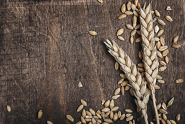 포토 JPG 해외이미지 식물 디자인 음식 줄기 백그라운드 농업 재료 자연 프레임 씨앗 사람없음 목재 여름 농작물 농장 갈색 노란색 우주 수확 골동품 성장 가을 시골 거친 널 낟알 자르기 시리얼 밀 묘사 질감 복고 귀 밀가루 밀짚 내추럴 그런지 밭일 옛날 해외202004 해외포토 나무 계절 산업 컬러 모션 곡류 신체부위 짚 가루 생태계 파일형식 이미지허브