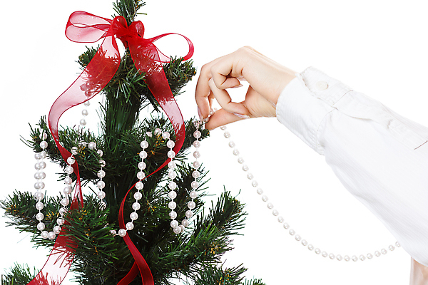 포토 JPG 해외이미지 나무 식물 전통 손 계절 행복 리본 백그라운드 크리스마스 겨울 공 휴가 기념 사람없음 장식 빨간색 초록색 흰색 축하 묘사 오브젝트 솔방울 상록수 고립 해외202004 해외포토 기념일 감정 컬러 컨셉 신체부위 파일형식 이미지허브