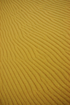 포토 JPG 해외이미지 모래 자연 하늘 건조 풍경 사람없음 가로 파란색 노란색 평화 사막 남아메리카 고독 모래언덕 질감 아르헨티나 내추럴 고립 지질학 해외202004 해외포토 교육 감정 컬러 컨셉 아메리카 언덕 생태계 파일형식 이미지허브