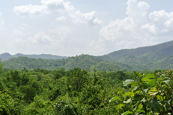 포토 JPG 해외이미지 나무 구름 공원 여행 자연 하늘 산 파노라마 풍경 사람없음 초록색 여름 파란색 계곡 시골 숲 열대우림 언덕 해외202004 해외포토 자연요소 식물 계절 공공시설 컬러 촬영기법 생태계 파일형식 이미지허브