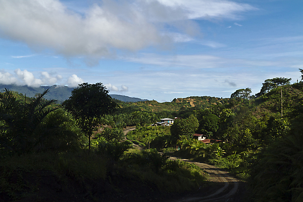 포토 JPG 해외이미지 나무 구름 계절 문화 바다 백그라운드 밭 농업 자연 하늘 날씨 주택 파노라마 풍경 사람없음 야외 건물 초록색 여름 태양 농장 농경지 평화 마을 침묵 일몰 봄 성장 시골 신선 언덕 지역 밭일 해외202004 해외포토 자연요소 식물 건축물 산업 컬러 컨셉 촬영기법 노을 소리 생태계 파일형식 이미지허브