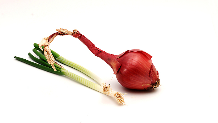 포토 JPG 해외이미지 음식 시계 백그라운드 다이어트 토마토 채소 오렌지 과일 재료 자연 딸기 양파 오이 귤 건강 키위 요리 사람없음 빨간색 노란색 봄 신선 시간 시장 사과 혼합 상추 먹기 파인애플 유기농 후추 성분 채식주의자 해외202004 해외포토 웰빙 계절 컬러 모션 향신료 열대과일 생태계 채식 파일형식 이미지허브