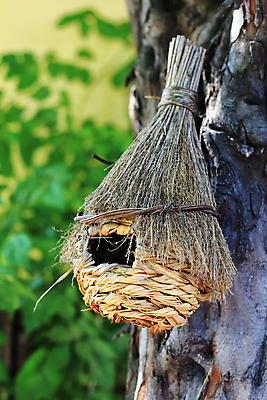 포토 JPG 해외이미지 나무 계절 야생동물 백그라운드 자연 조류 지붕 주택 사람없음 목재 여름 상자 봄 방 가을 둥지 작음 심플 내추럴 핸드메이드 해외202004 해외포토 식물 동물 재료 건물 크기 생태계 파일형식 이미지허브