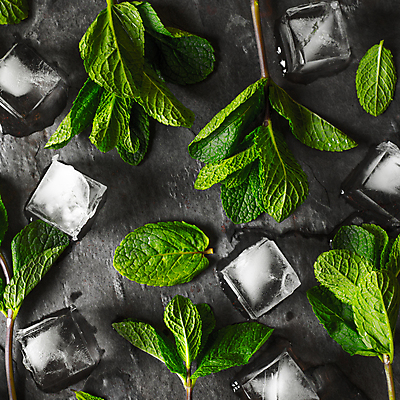 포토 JPG 해외이미지 음식 백그라운드 잎 탁자 요리 사람없음 가로 초록색 물 회색 흰색 나뭇가지 신선 양념 민트 허브 준비 유기농 정사각형 아로마 향 채식주의자 비건 해외202004 해외포토 자연요소 도형 나무 식물 웰빙 컬러 가구 채식 파일형식 이미지허브