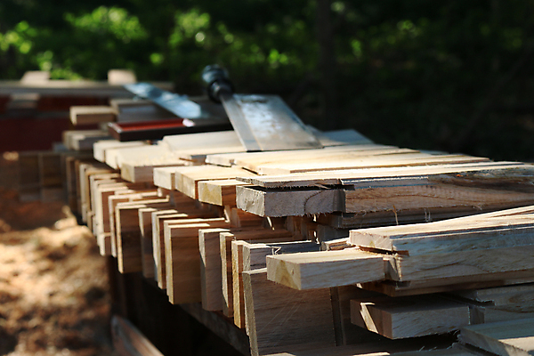 포토 JPG 해외이미지 손 산업 백그라운드 컨셉 주택 자 손잡이 사람없음 목재 금속 장비 수확 기구 도구 공구 붓 작업실 실 수리 망치 헬멧 손톱 목수 질감 목공예 고정 펜치 조립 송곳 수목 업그레이드 재주꾼 조작 철강 하드웨어 항목 공급 해외202004 해외포토 나무 직업 농업 재료 재질 문구용품 건물 신체부위 컴퓨터 보호장비 공예 파일형식 이미지허브