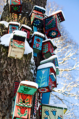 포토 JPG 해외이미지 나무 동물 계절 겨울 자연 조류 날씨 풍경 사람없음 야외 파란색 상자 냉동 침묵 추위 흰색 나뭇가지 둥지 숲 북극 서리 나무껍질 해외202004 해외포토 식물 컬러 소리 껍질 극지방 생태계 파일형식 이미지허브