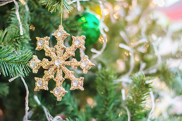 포토 JPG 해외이미지 전통 계절 백그라운드 크리스마스 겨울 포장 공 눈사람 유리 추상 휴가 새해 3 선물 사람없음 목재 장식 가로 빨간색 초록색 파란색 빛 상자 우주 축제 수확 흰색 시골 눈송이 그룹 황금 보케 상록수 전나무 노엘 여의주 필터 해외202004 해외포토 나무 기념일 컬러 무늬 농업 재료 재질 눈_날씨 파일형식 이미지허브