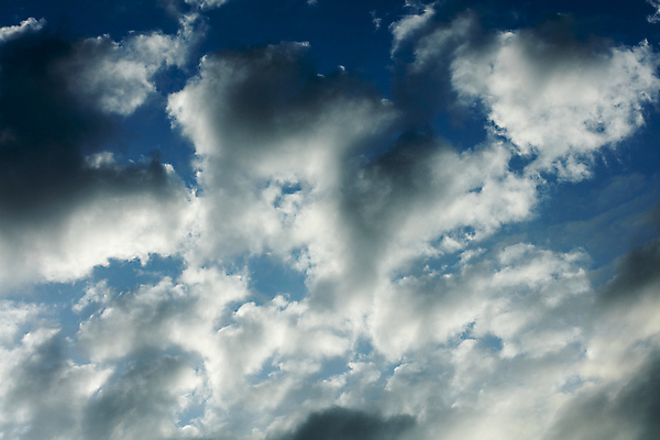 포토 JPG 해외이미지 식물 구름 공원 여행 밭 자연 하늘 아침 풍경 잔디 사람없음 목재 초록색 여름 빛 컬러풀 햇빛 태양 일출 환경 정원 맑음 고층빌딩 일몰 봄 새벽 광선 시골 저녁 허브 원예 조경 공터 해외202004 해외포토 주간 자연요소 나무 계절 공공시설 컬러 농업 재료 날씨 빌딩 취미 노을 야간 생태계 파일형식 이미지허브