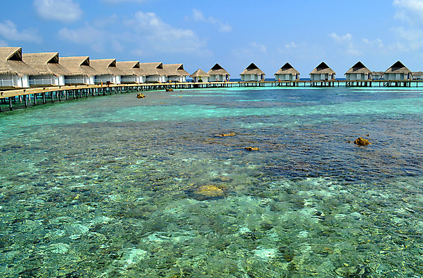 포토 JPG 해외이미지 모래 바다 섬 여행 자연 하늘 휴가 휴식 풍경 사람없음 야외 물 여름 파란색 태양 수영 스노클링 고급 휴양지 몰디브 이국적 터키석 파라다이스 해외202004 해외포토 자연요소 계절 아시아 컬러 컨셉 장소 수상스포츠 보석 생태계 파일형식 이미지허브