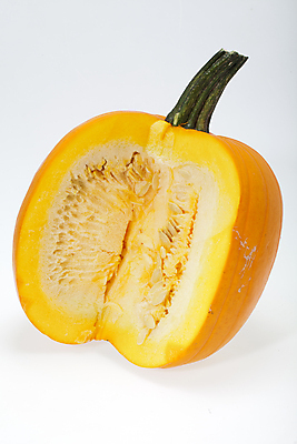 포토 JPG 해외이미지 식물 1 줄기 백그라운드 농업 채소 오렌지 호박 건강 씨앗 사람없음 장식 정원 할로윈 수확 흰색 등불 신선 싱글 날것 박 추수감사절 내추럴 고립 숙성 채식주의자 해외202004 해외포토 산업 기독교 컬러 과일 조명 채식 파일형식 이미지허브