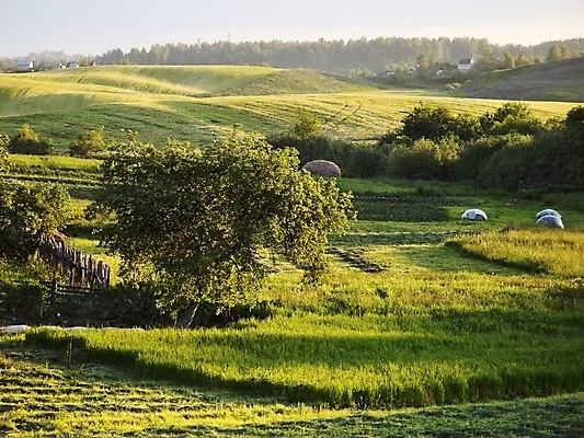 포토 JPG 해외이미지 나무 구름 꽃 도로 지구 잎 자연 하늘 지붕 날씨 휴식 주택 풍경 사람없음 목재 초록색 여름 파란색 태양 마을 정원 계곡 침묵 나뭇가지 시골 분위기 숲 그늘 순수 즐거움 꿀 생태학 해외202004 해외포토 자연요소 식물 계절 교육 감정 길 컬러 컨셉 재료 교통시설 건물 소리 생태계 파일형식 이미지허브