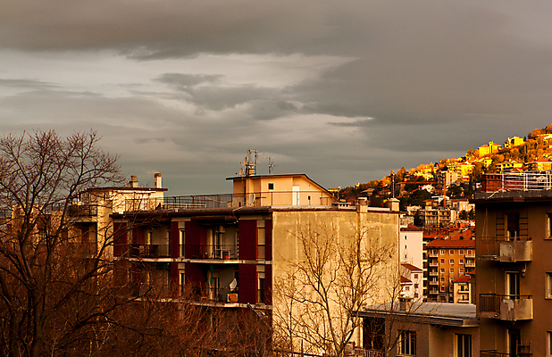 포토 JPG 해외이미지 나무 구름 계절 자연 하늘 날씨 주택 사람없음 건물 가을 숲 브런치 해외202004 해외포토 자연요소 식물 건축물 식사 생태계 파일형식 이미지허브