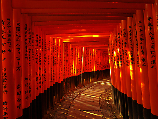 포토 JPG 해외이미지 모델 전통 종교 길 오렌지 사람없음 목재 빨간색 여행객 일본 역사 보행로 터널 재산 오솔길 심볼 대문 교토 사당 줄서기 해외202004 해외포토 나무 아시아 컬러 과일 재료 모션 사람 금융 문 파일형식 이미지허브