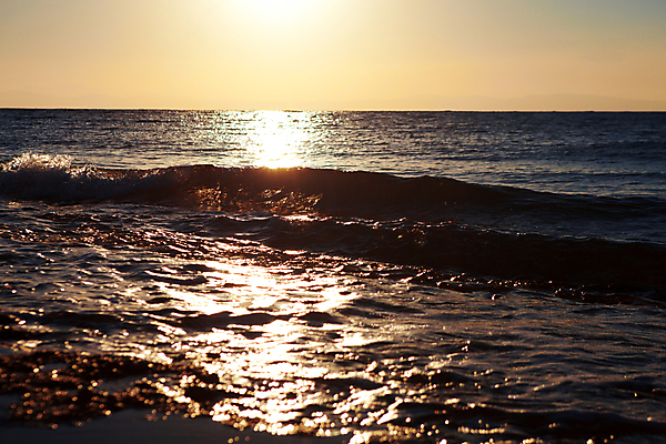 포토 JPG 해외이미지 모래 파도 바다 여행 백그라운드 모션 자연 조류 아침 휴가 휴식 풍경 사람없음 물 여름 파란색 햇빛 태양 일출 어둠 일몰 거품 바위 흰색 신선 서핑 저녁 명상 장면 분무기 내추럴 수평선 해외202004 해외포토 주간 자연요소 동물 계절 컬러 컨셉 노을 돌_바위 수상스포츠 야간 생태계 파일형식 이미지허브