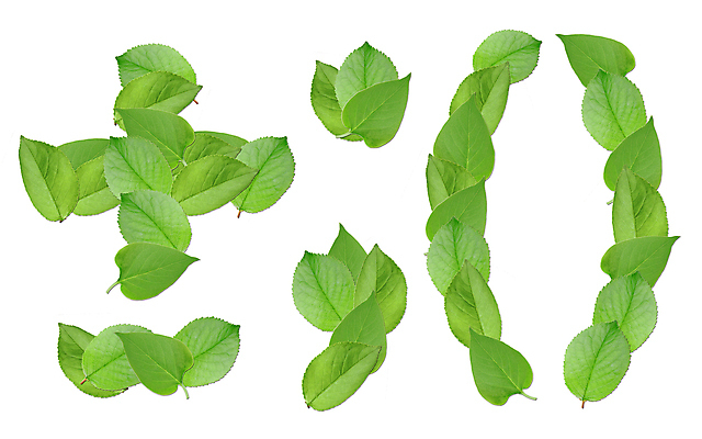 포토 JPG 해외이미지 아이콘 템플릿 디자인 실루엣 백그라운드 잎 꽃무늬 자연 추상 미술 사람없음 초록색 여름 세트 숫자 흰색 그룹 닫기 플러스 심볼 오브젝트 고립 해외202004 해외포토 식물 문자 기호 계절 꽃 컬러 무늬 모션 문화예술 촬영기법 생태계 파일형식 이미지허브