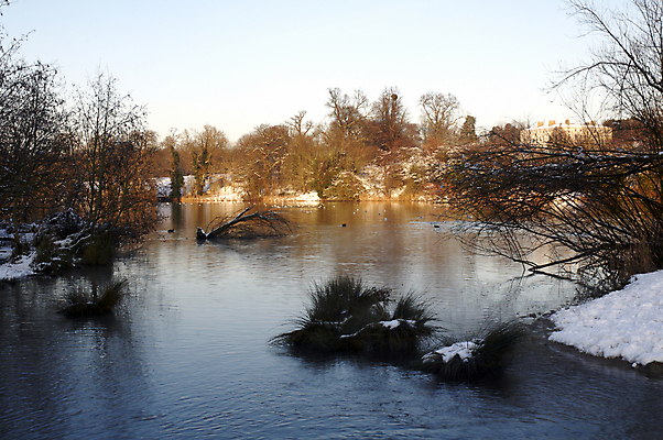 포토 JPG 해외이미지 나무 계절 공원 호수 크리스마스 겨울 밭 자연 하늘 날씨 풍경 사람없음 야외 물 반사 냉동 얼음 침묵 추위 흰색 시골 연못 12월 서리 장면 1월 내추럴 2월 폭설 눈내림 해외202004 해외포토 자연요소 식물 공공시설 기념일 컬러 농업 눈_날씨 소리 날짜 자연재해 생태계 파일형식 이미지허브