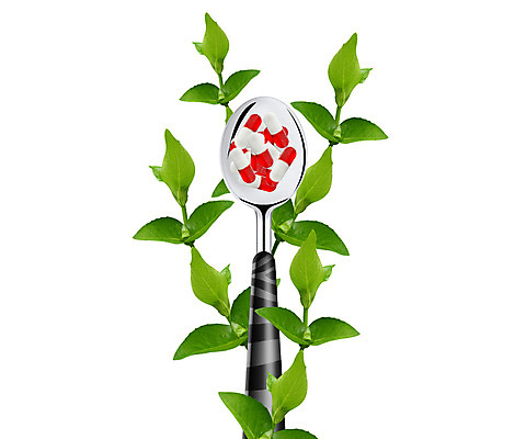 포토 JPG 해외이미지 유럽 음식 백그라운드 컨셉 다이어트 재료 아이디어 건강 요리 사람없음 초록색 알약 약 건강관리 금속 주방 숟가락 식사 저녁식사 흰색 신선 닫기 맛 상품 밀 약국 지중해 먹기 민트 허브 에코 질감 날카로움 밀가루 서빙 레시피 칼로리 조제 고립 돌봄 생태학 탄수화물 해외202004 해외포토 식물 교육 나라 바다 컬러 의학 모션 재질 곡류 수저 관리 환경 가루 만들기 파일형식 이미지허브