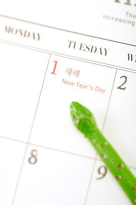 포토 JPG 스튜디오촬영 백그라운드 새해 실내 근접촬영 사람없음 아웃포커스 공휴일 장난감 숫자 달력 뱀 날짜 오브젝트 1월 1일 국내포토 문자 기념일 뷰포인트 파충류 촬영기법 내부 파일형식