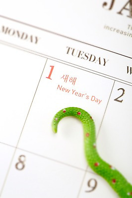 포토 JPG 스튜디오촬영 백그라운드 새해 실내 근접촬영 사람없음 아웃포커스 공휴일 장난감 숫자 달력 뱀 날짜 오브젝트 꼬리 1월 1일 국내포토 문자 기념일 뷰포인트 파충류 촬영기법 내부 파일형식