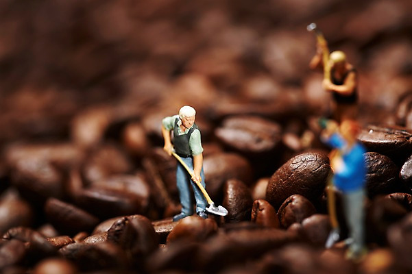 포토 JPG 스튜디오촬영 커피 음식 인형 백그라운드 컨셉 재료 디저트 노동자 콩 실내 근접촬영 사람없음 아웃포커스 미니어처 피규어 원두 농부 삽 원두커피 국내포토 직업 음료 뷰포인트 곡류 촬영기법 내부 모형 파일형식