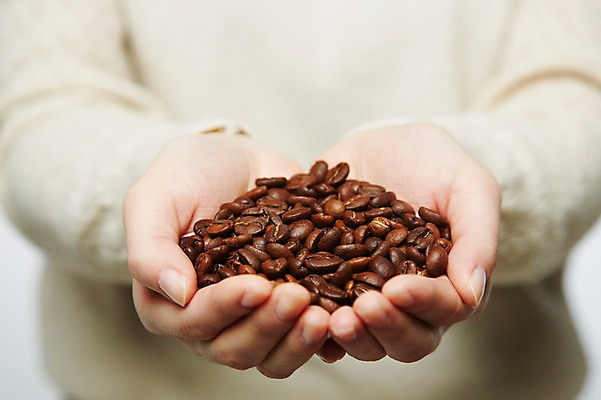 포토 JPG 스튜디오촬영 손 커피 음식 백그라운드 컨셉 재료 디저트 콩 실내 한명 들기 사람 근접촬영 상반신 아웃포커스 신체부위 원두 양손 원두커피 국내포토 1 음료 뷰포인트 모션 곡류 촬영기법 내부 파일형식