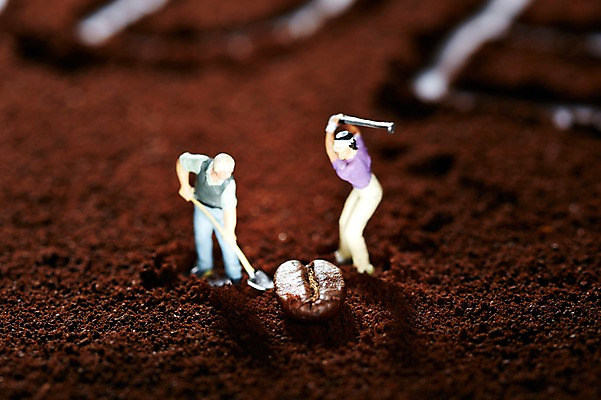 포토 JPG 스튜디오촬영 커피 음식 인형 백그라운드 컨셉 재료 디저트 노동자 콩 실내 근접촬영 사람없음 아웃포커스 미니어처 피규어 원두 농부 가루 삽 원두커피 국내포토 직업 음료 뷰포인트 곡류 촬영기법 내부 모형 파일형식