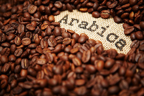 포토 JPG 스튜디오촬영 문자 알파벳 영어 커피 음식 백그라운드 컨셉 재료 디저트 콩 실내 사람없음 단어 원두 원두커피 자루 소문자 아라비카 포대자루 국내포토 음료 곡류 내부 파일형식