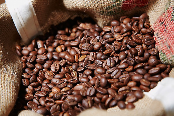 포토 JPG 스튜디오촬영 커피 음식 백그라운드 컨셉 재료 디저트 콩 실내 사람없음 원두 원두커피 자루 포대자루 국내포토 음료 곡류 내부 파일형식