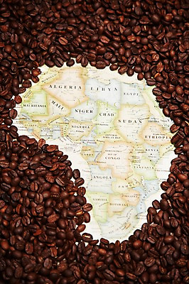 포토 JPG 스튜디오촬영 모양 커피 음식 백그라운드 컨셉 세계지도 지도 재료 디저트 콩 실내 사람없음 원두 원두커피 국내포토 음료 곡류 내부 세계 파일형식