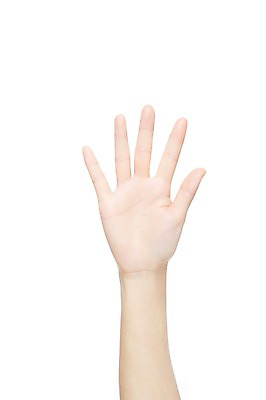 포토 JPG 스튜디오촬영 손 여자 신체 손가락 모션 한손 실내 손바닥 한명 누끼 사람 손짓 신체부위 숫자 오 5 국내포토 문자 1 내부 파일형식