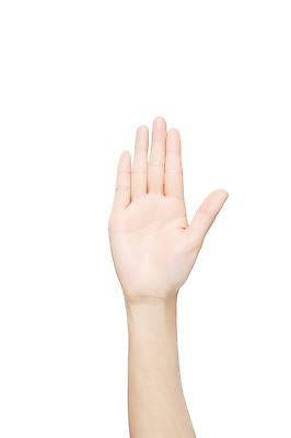 포토 JPG 스튜디오촬영 손 여자 신체 손가락 모션 한손 실내 손바닥 한명 누끼 사람 손짓 신체부위 숫자 오 5 국내포토 문자 1 내부 파일형식