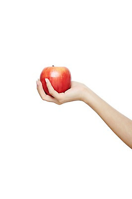 포토 JPG 스튜디오촬영 손 여자 음식 신체 과일 모션 한손 실내 한명 들기 누끼 사람 손짓 신체부위 빨간색 사과 국내포토 1 컬러 내부 파일형식