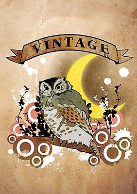 PSD 식물 동물 리본 백그라운드 잎 일러스트 조류 사람없음 장식 달 빈티지 초승달 빈티지배경 부엉이 국내일러스트 자연요소 컨셉 파일형식
