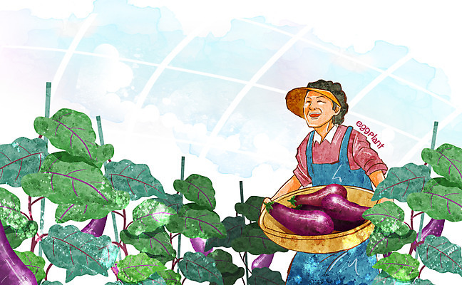 PSD 식물 모자 웰빙 여자 열매 잎 채소 과일 일러스트 가지 주택 한명 웃음 들기 사람 상반신 성인 농작물 바구니 농사 친환경 유기농 비닐하우스 캡 여자만 여자한명만 성인여자만 성인만 국내일러스트 모자_잡화 1 잡화 농업 모션 표정 건물 환경 파일형식