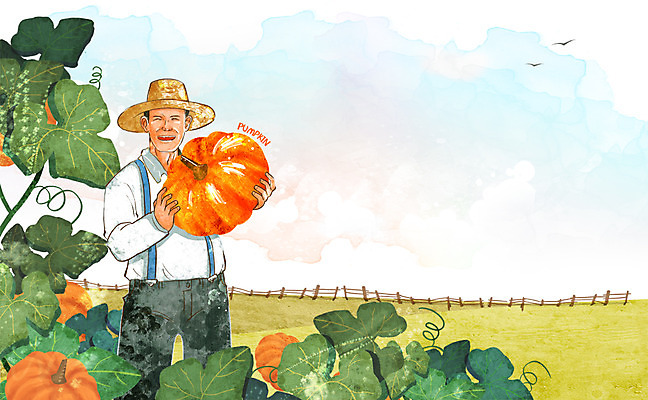 PSD 식물 모자 웰빙 남자 잎 채소 일러스트 하늘 호박 작업복 한명 서기 웃음 사람 초원 상반신 성인 농작물 울타리 농장 농부 덩굴 멜빵바지 친환경 유기농 밀짚모자 남자만 남자한명만 성인남자만 성인만 국내일러스트 직업 모자_잡화 1 잡화 옷 농업 바지 모션 표정 담장 환경 멜빵 파일형식